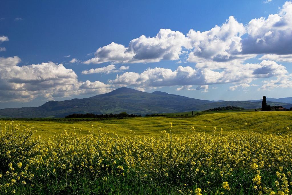 Casetta Del Pozzo Seggiano الغرفة الصورة